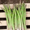 10 Asperges Voltaire - Des asperges maison chaque printemps