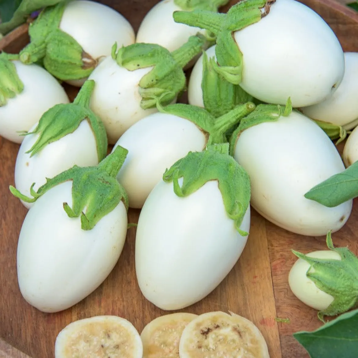 Aubergine Blanche ronde à oeufs - Des œufs blancs à croquer