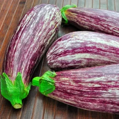 Aubergine Listada de Gandia - Récoltez du soleil dans l'assiette