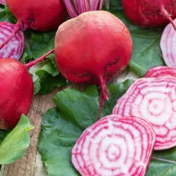 Betterave rouge Chioggia - Le rose qui étonne à table