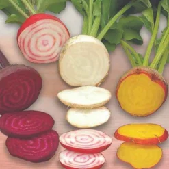 Betterave rouge Hullahup mix - Des betteraves prêtes vite