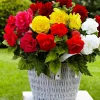 24 Bégonias tubéreux doubles en mélange - Des fleurs XXL tout l'été