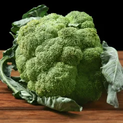 Brocoli Calabrese Natalino Bio - Des brocolis maison faciles