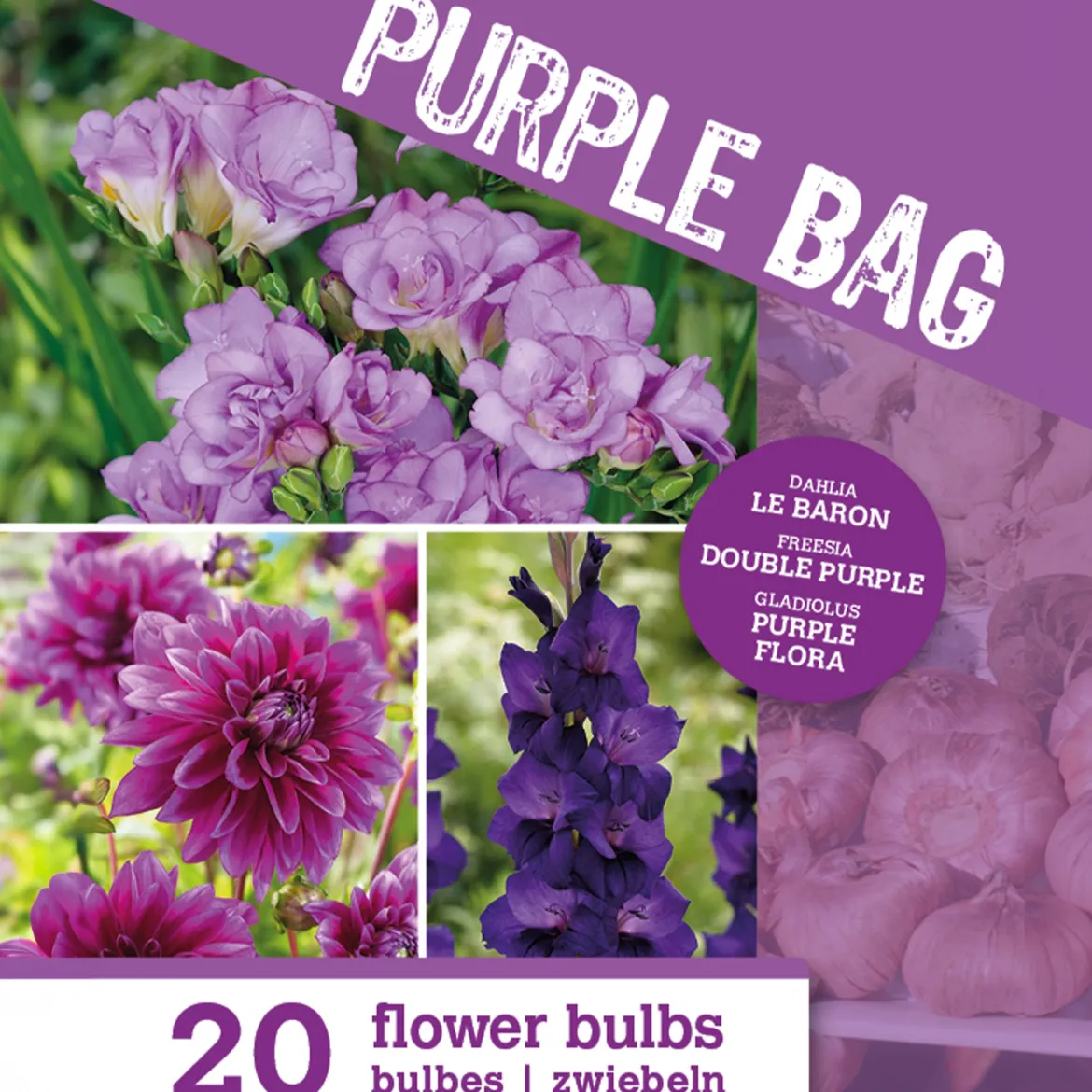 20 Bulbes de fleurs The Purple Bag en mélange - Une bordure violette express
