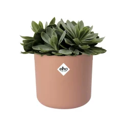 Cache-pot B for soft rond rose ELHO