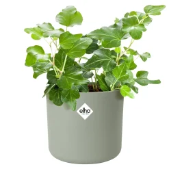 Cache-Pot Soft rond Vert pierre ELHO - Déco instantanée réussie