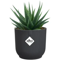 Cache-Pot Vibes fold rond Anthracite ELHO - Style instantané chez vous