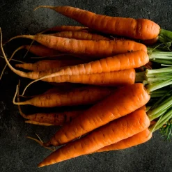 Carotte d'été 'Nantes 2' - Douceur sucrée au potager
