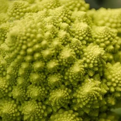 Chou brocoli Romanesco - Le chou qui épate