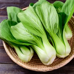 Chou de Chine Pak-choi Green Fortune F1 - Récolte rapide et tendre