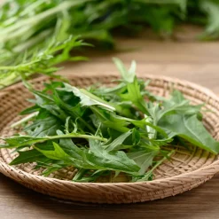 Chou salade Japonais Mizuna Bio - Récolte fraîche en 40 jours