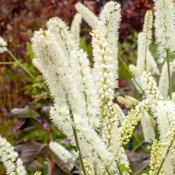 Cierge d'argent White Pearl - Fleurs parfumées à l'automne