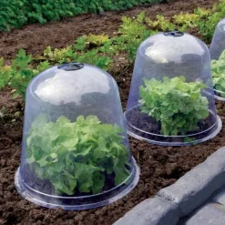 3 Cloches de forçage - Protégez, récoltez plus tôt