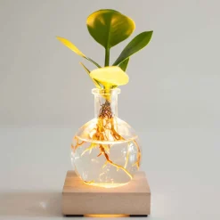 Clusia Samoa et son vase avec LED - Feuillage épais et décoratif