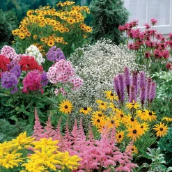Collection de 15 plantes vivaces - 2 m² - 2 m² de fleurs sans effort