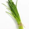 Collection de 4 Plants Aromatiques basilic, ciboulette, persil, thym - Parfait pour agrémenter vos recettes