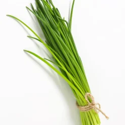 Collection de 4 Plants Aromatiques basilic, ciboulette, persil, thym - Parfait pour agrémenter vos recettes