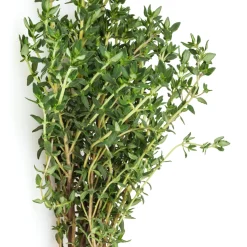 Collection de 4 Plants Aromatiques basilic, ciboulette, persil, thym - Parfait pour agrémenter vos recettes