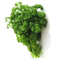 Collection de 4 Plants Aromatiques basilic, ciboulette, persil, thym - Parfait pour agrémenter vos recettes