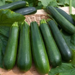 Collection de 7 sachets de graines pour potager - Parfait pour débuter
