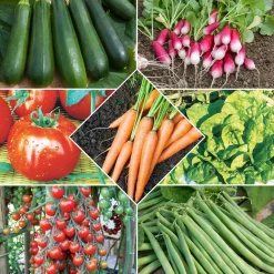 Collection de 7 sachets de graines pour potager - Parfait pour débuter