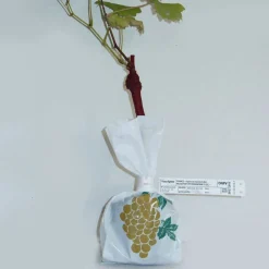 Collection de 2 Vignes : Muscat de Hambourg et Chasselas de Fontainebleau - Idéale pour des cépages variés