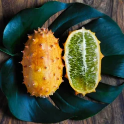 Concombre du Kenya - Metulon - Un fruit exotique au jardin