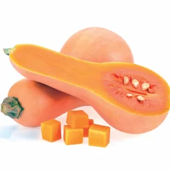 Courge Butternut Hercules F1 - Purées veloutées et sucrées