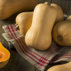 Courge Butternut Hercules F1 - Purées veloutées et sucrées