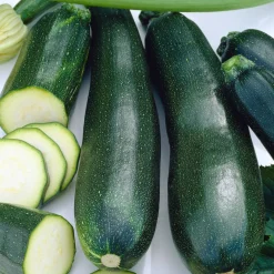 Courgette Black Beauty - Récolte facile tout l'été