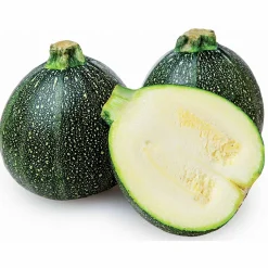 Courgette De Nice à fruits ronds - Des courgettes rondes à farcir