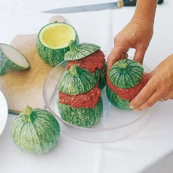 Courgette De Nice à fruits ronds - Des courgettes rondes à farcir