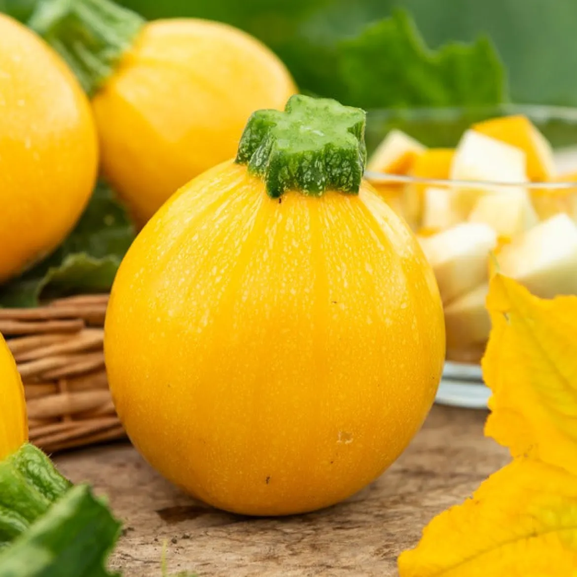 Courgette Sun Ball F1 - Des courgettes rondes tout l'été