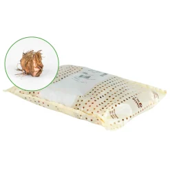 10 Crocosmia Prince of Orange - Un feu d'orange tout l'été
