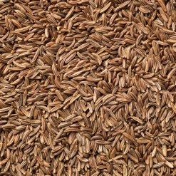 Cumin - Épices maison au soleil