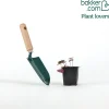 Cyclamen coum Rose - Des fleurs en plein hiver