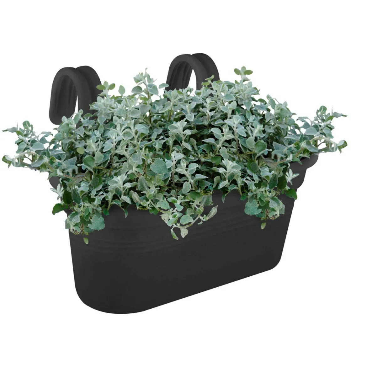 Elho Balconnière Easy hanger living noir - Un balcon fleuri en 2 min
