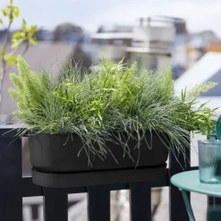 Elho Balconnière Greenville Living noir - Un balcon fleuri en 5 min