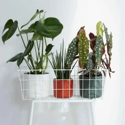 Elho Pot B.for soft rond blanc - Déco blanche en 1 geste