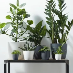 Elho Pot Brussels rond anthracite - Style anthracite chez vous