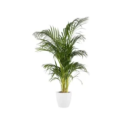 Elho Pot Brussels rond blanc - Déco prête en 1 minute