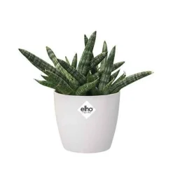 Elho Pot Brussels rond blanc - Déco prête en 1 minute