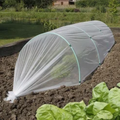 Film de forçage anti-insectes - Des légumes protégés sans effort