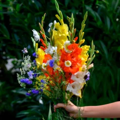 Glaïeul et mélange de graines de fleurs - Un jardin de bouquets