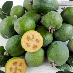 Goyavier du Brésil - Feijoa - Fruits exotiques au jardin