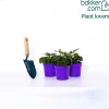3 Héliotropes du Pérou - Le parfum vanille au balcon