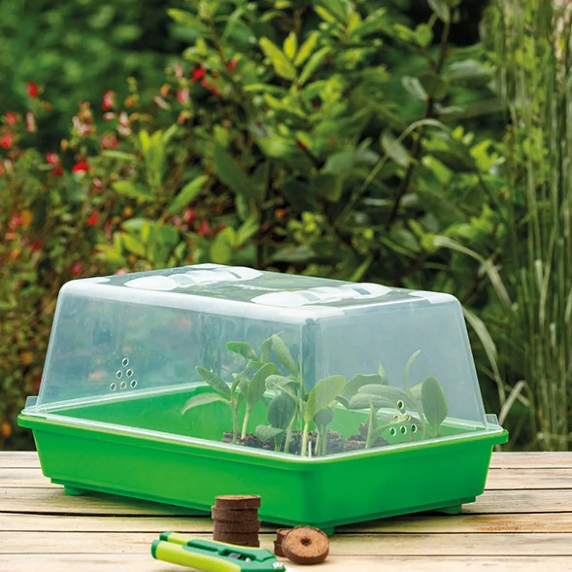 Kit mini serre + 100 pastilles en coco deshydraté