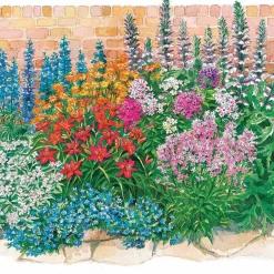 Le massif été fleuri - 18 plantes vivaces - Superficie environ 2 m² - Un été 100% fleuri