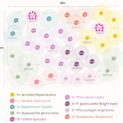 Massif de 50 plantes vivaces assorties - Superficie environ 6 m² - 6 m² fleuris sans effort