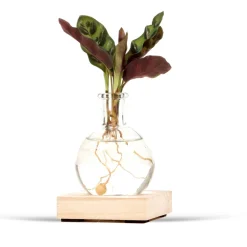 Mini Vase et son support en bois lumineux - Lumière et déco en un geste